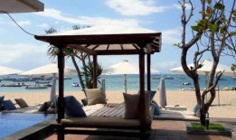 巴厘岛命案爆料讲解视频,视频爆料揭示惊人真相