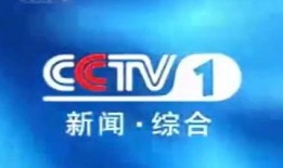 永嘉电视台爆料新闻视频,新闻事件深度解析