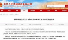 新疆最新新闻爆料网站,聚焦热点事件，揭秘幕后真相